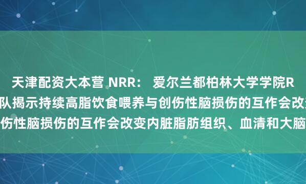 天津配资大本营 NRR： 爱尔兰都柏林大学学院Rebecca J. Henry团队揭示持续高脂饮食喂养与创伤性脑损伤的互作会改变内脏脂肪组织、血清和大脑免疫微环境