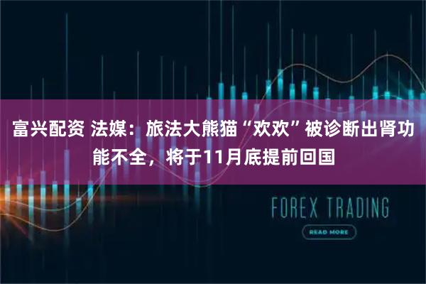 富兴配资 法媒：旅法大熊猫“欢欢”被诊断出肾功能不全，将于11月底提前回国