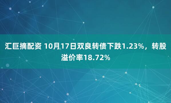 汇巨摘配资 10月17日双良转债下跌1.23%，转股溢价率18.72%