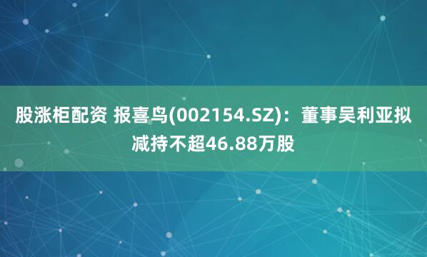 股涨柜配资 报喜鸟(002154.SZ):董事吴利亚拟减持不超46.88万股