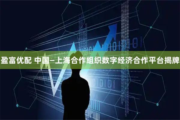 盈富优配 中国—上海合作组织数字经济合作平台揭牌
