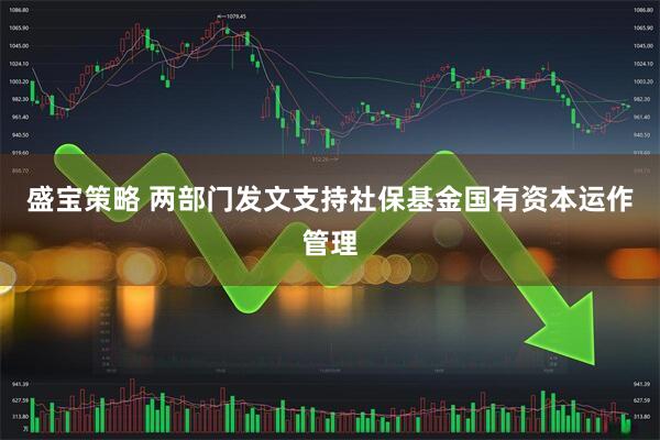 盛宝策略 两部门发文支持社保基金国有资本运作管理