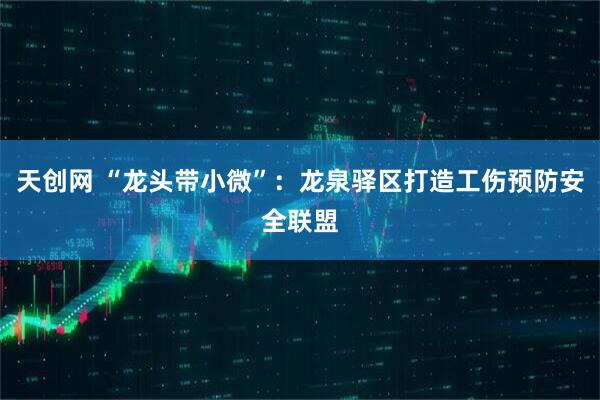 天创网 “龙头带小微”:龙泉驿区打造工伤预防安全联盟